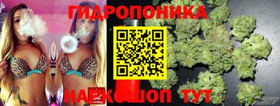 ALPHA PVP Камень-на-Оби