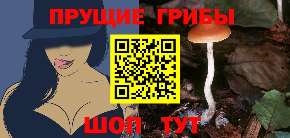 Псилоцибиновые грибы мицелий Губкинский