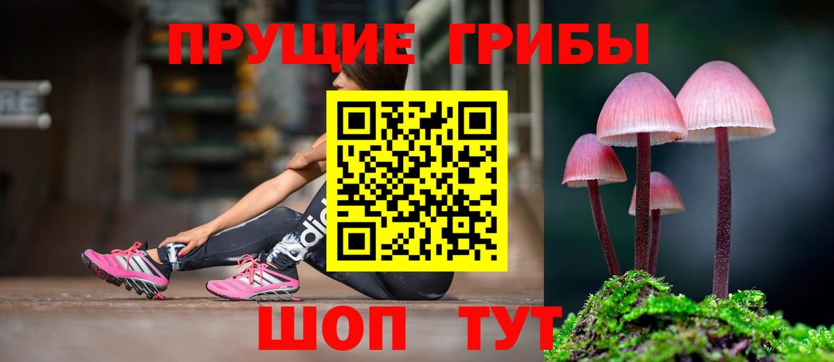 Губкинский  Псилоцибиновые грибы Magic Shrooms  Вход с VPN  Галлюциногенные грибы Cubensis 